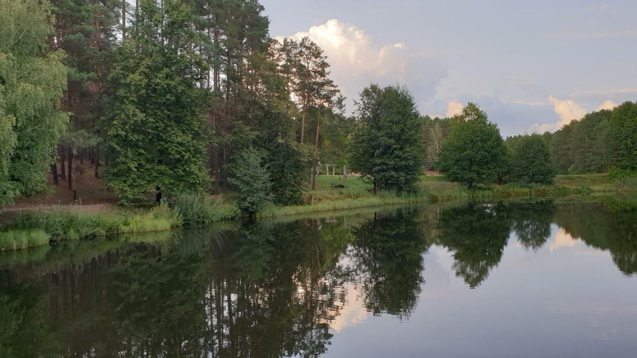 Garden Studio By The Lake With Air-Con And Infrasauna Druskininkai Bagian luar foto